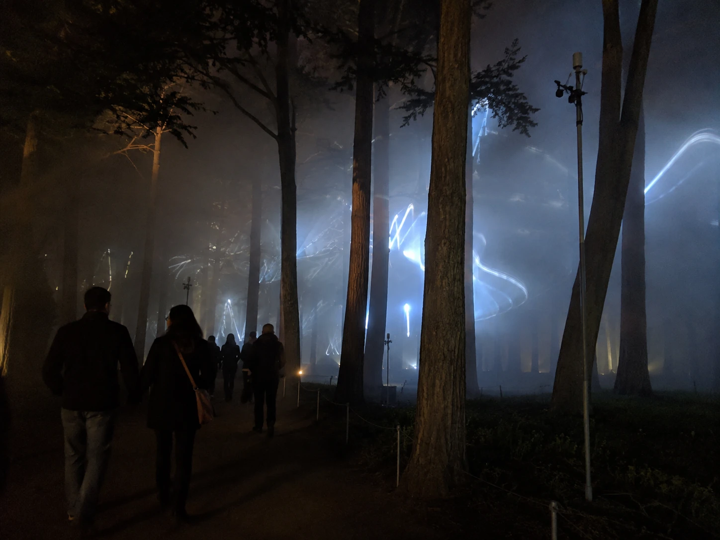 Guests on the path, signals moving between the trees