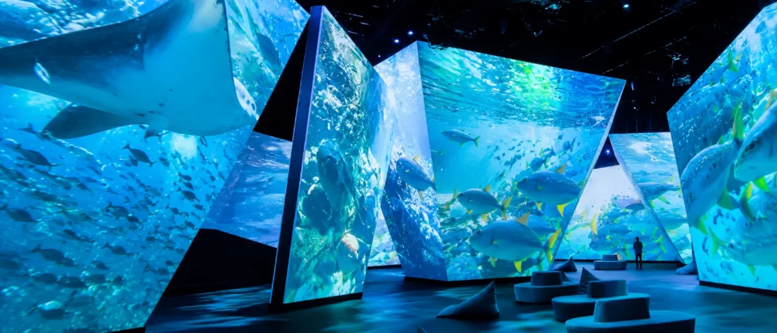 A first-wave immersive art hall, paintings wrapping the walls and floor.