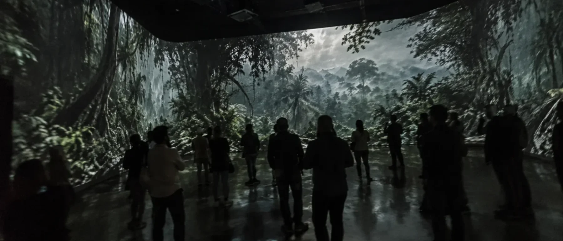 An audience standing inside a projected story, the image on every surface.