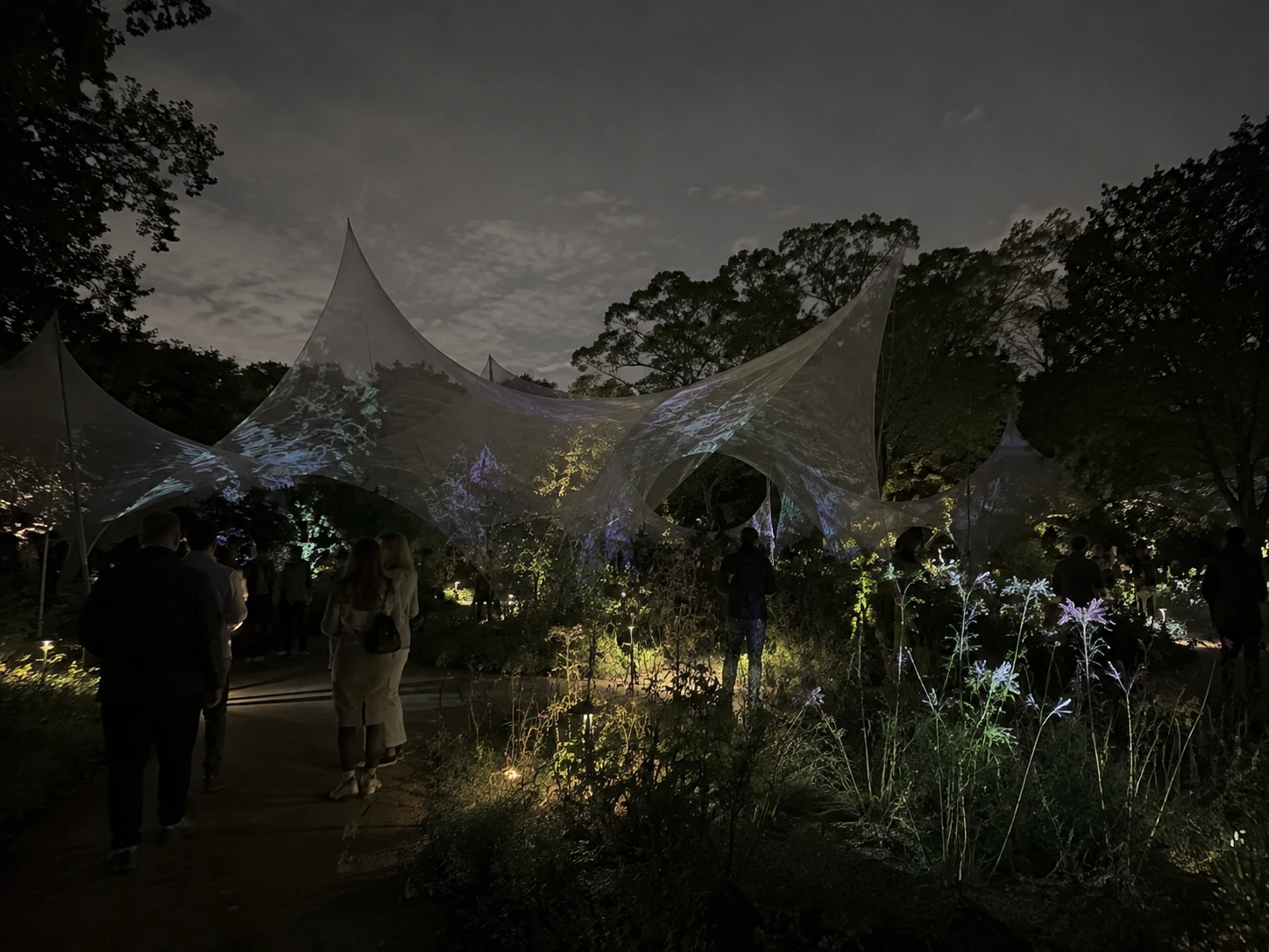 Voile canopies carrying projected water light