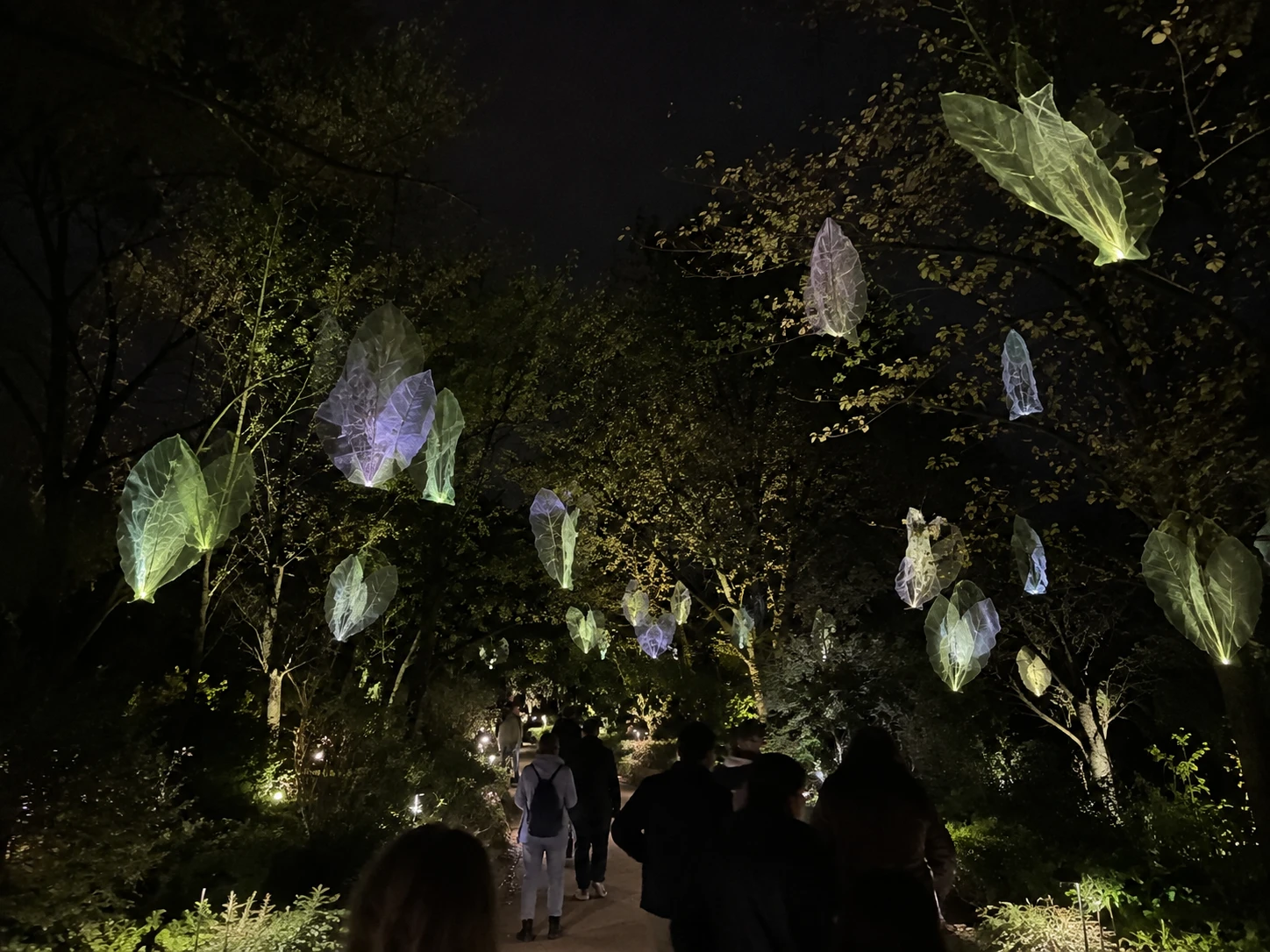 Leaves of light hung through the trees over the path