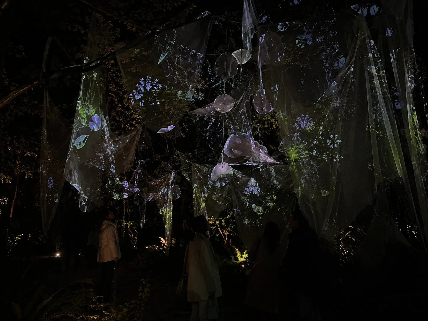 Suspended voile veils holding projected flora