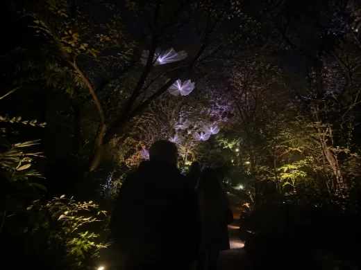 Two blooms of projected light glowing in a dark garden canopy above a path.